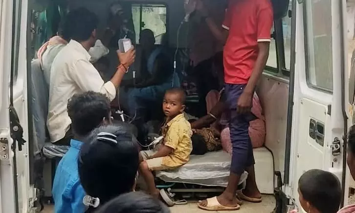 चंद्रज्योति के बीज खाने से 7 बच्चों को विषबाधा चंद्रज्योति के बीज खाने से 7 बच्चों को विषबाधा