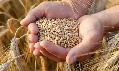 यूक्रेनी और पोलिश मंत्रियों ने अनाज निर्यात पर की चर्चा यूक्रेनी और पोलिश मंत्रियों ने अनाज निर्यात पर की चर्चा