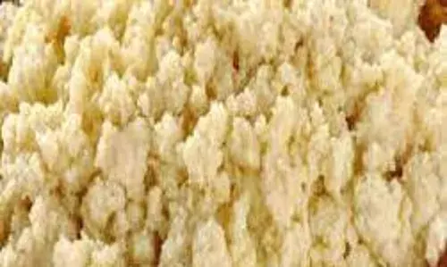 ग्रामीण पुलिस की कार्रवाई, डेढ़ टन मिलावटी मावा बरामद