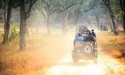 कल से कर पाएंगे ताड़ोबा जंगल सफारी की ऑनलाइन बुकिंग कल से कर पाएंगे ताड़ोबा जंगल सफारी की ऑनलाइन बुकिंग