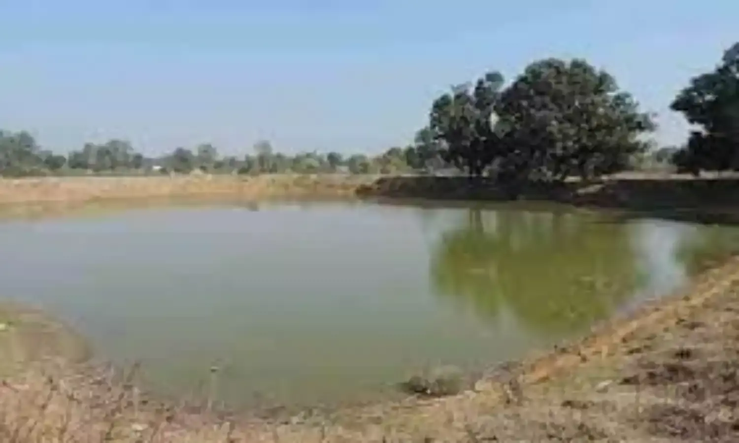 जिप के 29 तालाबों पर अवैध कब्जा, अतिक्रमण हटाने के निर्देश
