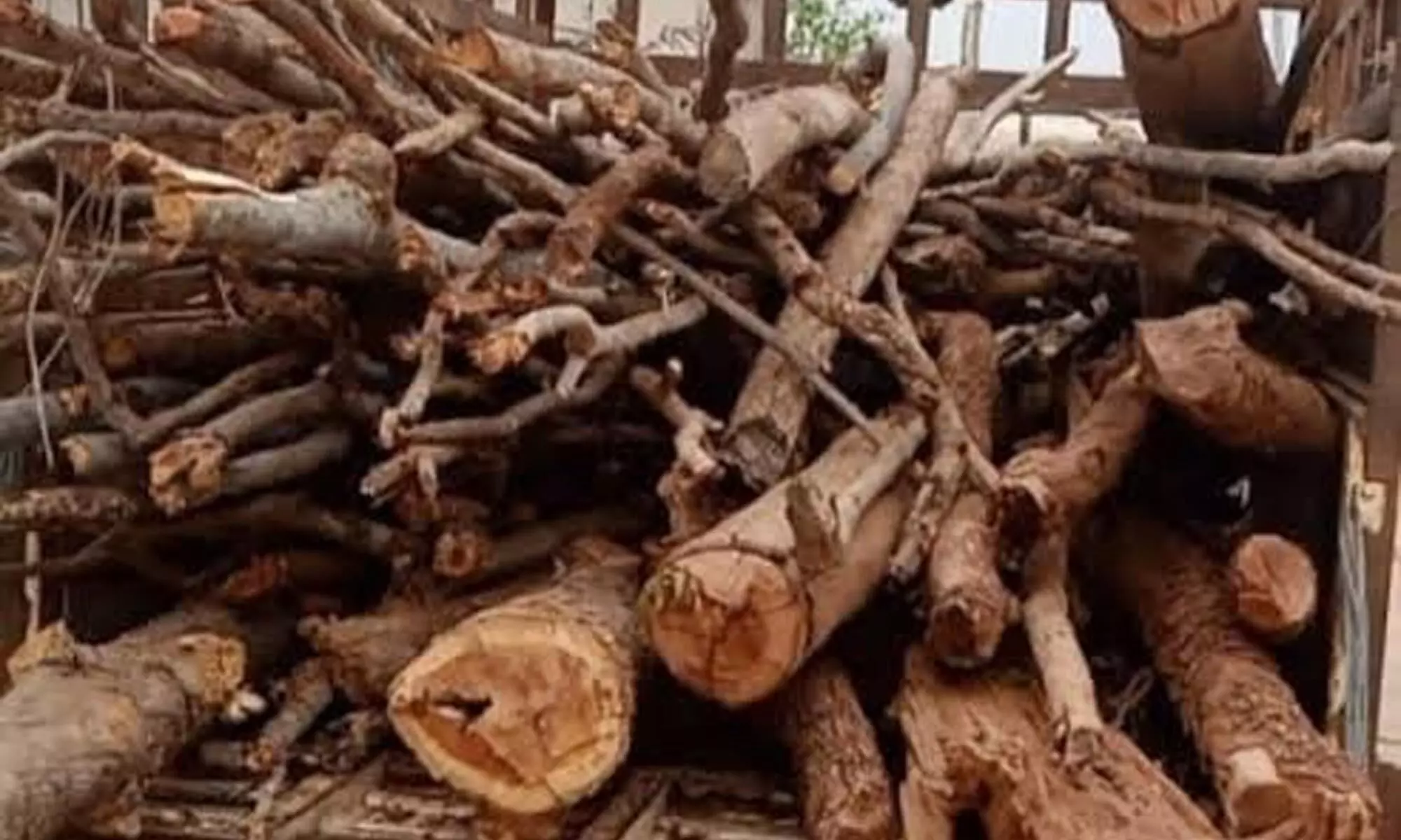 सागौन तस्करी करते तीन आरोपियों को दबोचा सागौन तस्करी करते तीन आरोपियों को दबोचा