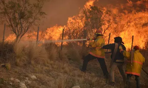 इटली के सिसिली में जंगल की आग के बीच दो की मौत, सैकड़ों को निकाला गया