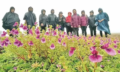 फूलों की घाटी देखकर प्रभावित हुई बीएनएचएस की टीम