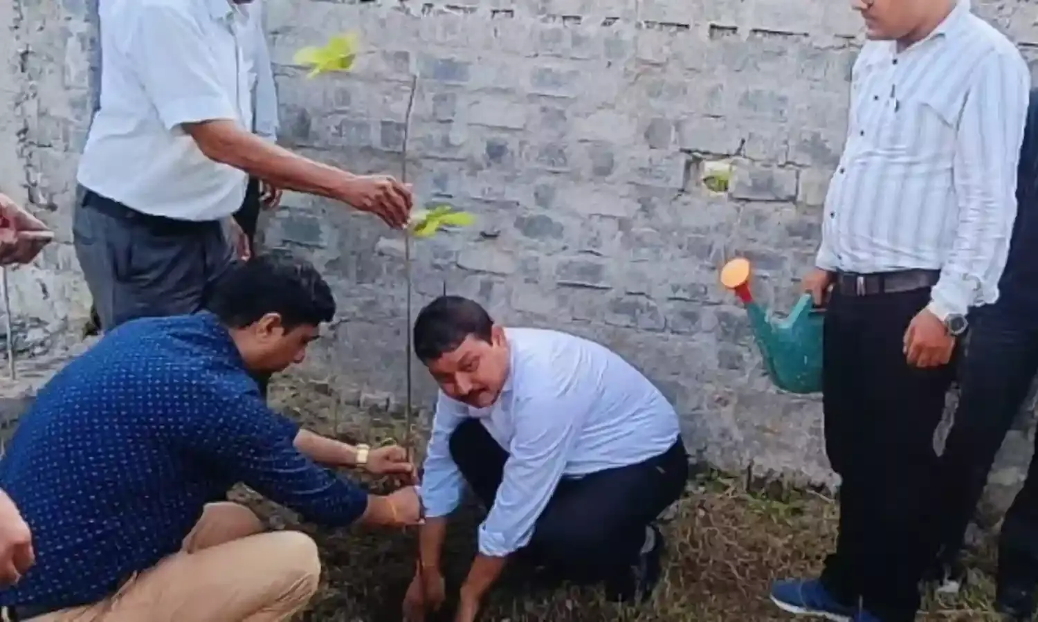 महिंद्रा फाइनेंस के सहयोग से आईसेक्ट द्वारा किया गया पौधरोपण कार्यक्रम