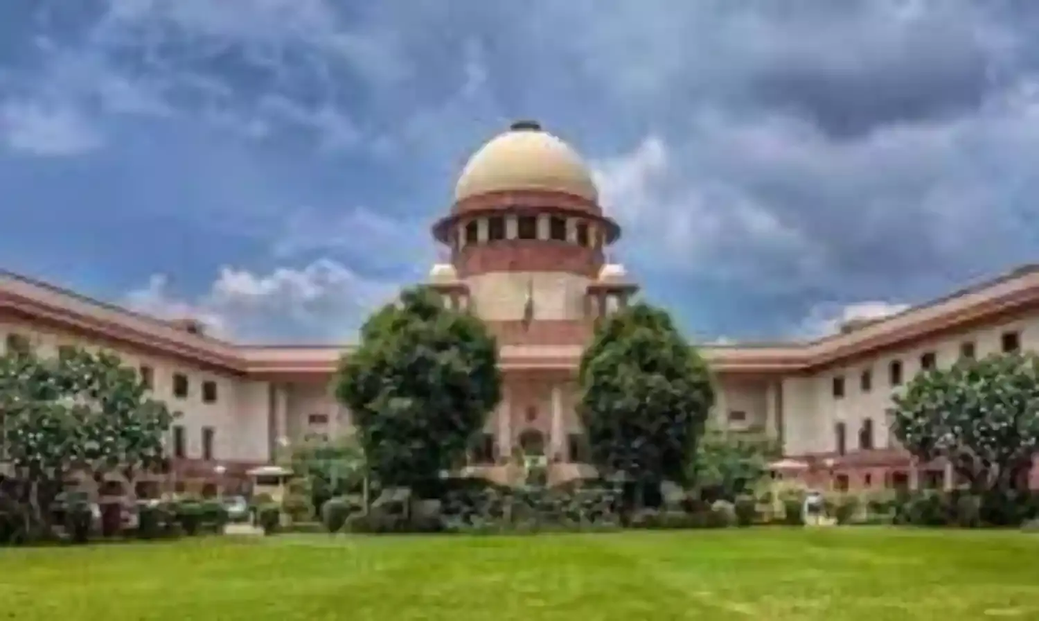 अपनी विशेष शक्ति का इस्तेमाल कर बचाए शिर्डी के एक भूखंड पर सौ साल पुराने पेड़