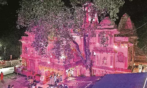 गुलाबी पत्थरों से सजा टेकड़ी गणेश का दरबार