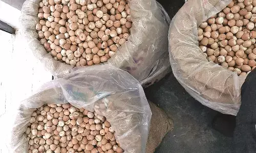 लकड़गंज स्मॉल फैक्टरी एरिया के गोदाम से 600 बोरी सुपारी जब्त