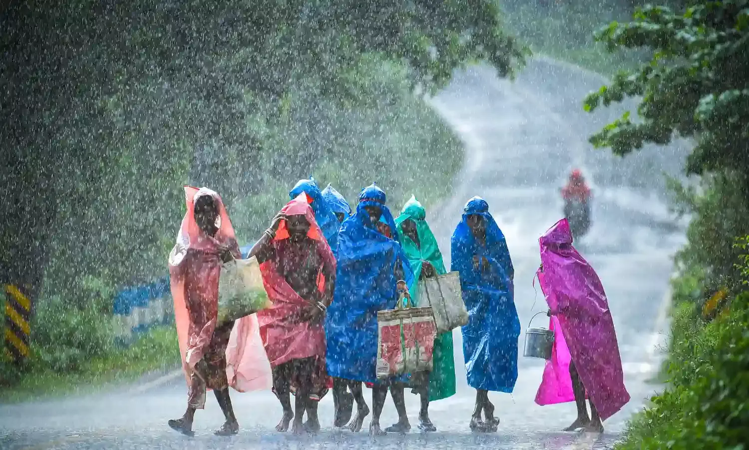 मानसूनी वर्षा में सामान्य से 6 प्रतिशत की कमी दर्ज की गई