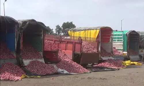 शुरू होगी प्याज की निलामी, लासलगांव की उपमंडी विंचूर में किसानों को राहत