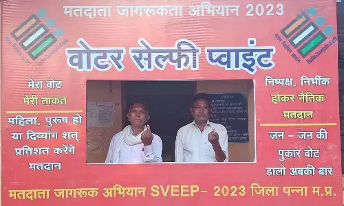 मतदाता जागरूकता के लिए जपं शाहनगर में लगा सेल्फी प्वाइंट
