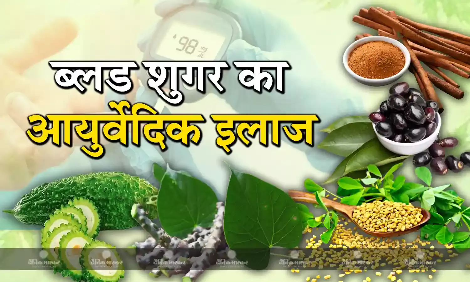 ब्लड शुगर से निजात पाने के लिए, अपनाएं ये घरेलू नुस्खे, दवाईयों से मिलेगा छुटकारा