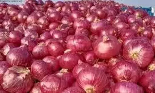 महाराष्ट्र से फिर 2 लाख मीट्रिक टन प्याज खरीदेगा केंद्र