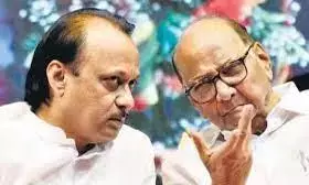 राकांपा में जारी है चाचा-भतीजे की जोड़ी का वर्चस्व