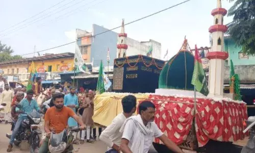 ईद मिलादुन्नबी पर नगर में निकाला गया चल जुलूस