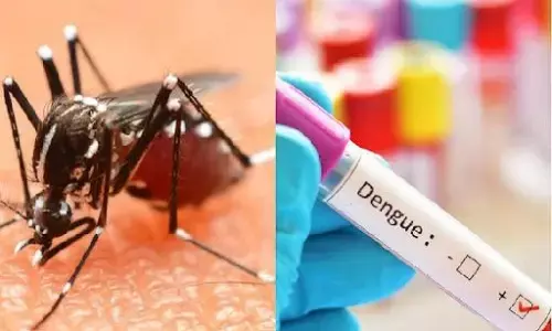 जिले में एक हजार के पार हो गए डेंगू के मरीज