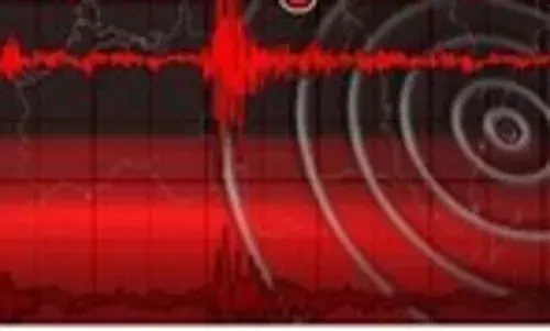 दिल्ली-एनसीआर में महसूस किए गए भूकंप के तेज झटके दिल्ली-एनसीआर में महसूस किए गए भूकंप के तेज झटके