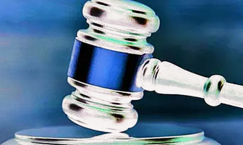 सारस पर नहीं तरस, कोर्ट ने लिया संज्ञान सारस पर नहीं तरस, कोर्ट ने लिया संज्ञान