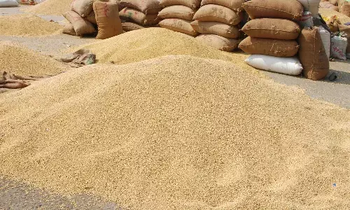 आवक बढ़ते ही कृषि मंडी में सोयाबीन के दाम घटे