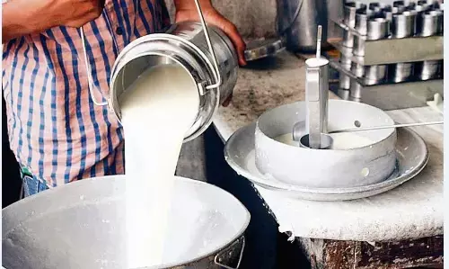 सावधान! आपका बच्चा भी तो नहीं पी रहा हाइड्रोजन पेरॉक्साइड मिला दूध सावधान! आपका बच्चा भी तो नहीं पी रहा हाइड्रोजन पेरॉक्साइड मिला दूध