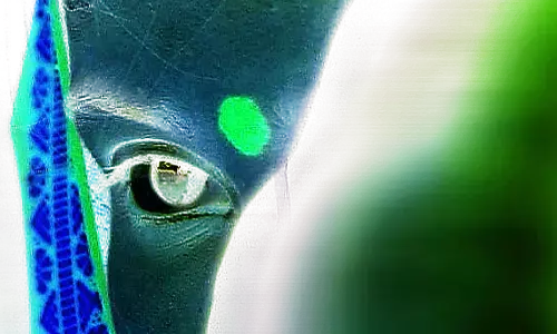 राज्य में चलाया जाएगा मुख्यमंत्री महिला सशक्तिकरण अभियान