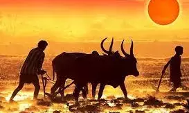 परियोजना प्रभावित किसानों को मिलेगी जमीन परियोजना प्रभावित किसानों को मिलेगी जमीन