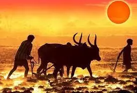 परियोजना प्रभावित किसानों को मिलेगी जमीन परियोजना प्रभावित किसानों को मिलेगी जमीन