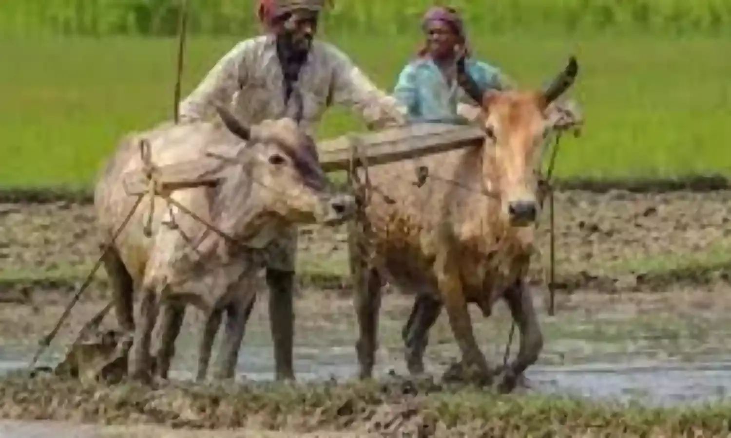 नमो किसान महा सम्मान योजना के तहत निधि को सरकार की मंजूरी