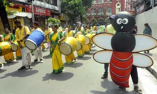 बंगाल में डेंगू की स्थिति भयावह, मरीजों की संख्या 50 हजार के पार बंगाल में डेंगू की स्थिति भयावह, मरीजों की संख्या 50 हजार के पार