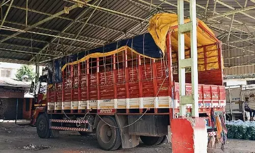 व्यापार के लिए बने शेड में ट्रकों की पार्किंग, सड़क पर लग रहीं दुकानें व्यापार के लिए बने शेड में ट्रकों की पार्किंग, सड़क पर लग रहीं दुकानें