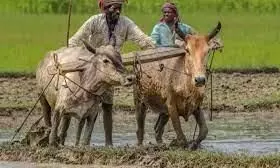 नमो किसान महा सम्मान योजना के तहत निधि को सरकार की मंजूरी नमो किसान महा सम्मान योजना के तहत निधि को सरकार की मंजूरी