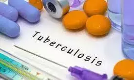 नागपुर जिले में सर्वे में मिले टीबी के 32 मरीज नागपुर जिले में सर्वे में मिले टीबी के 32 मरीज