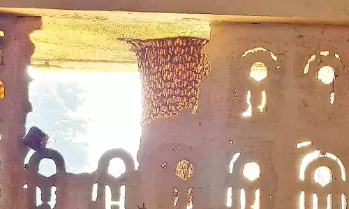 मधुमक्खियों के भय से तीन परिवारों ने छोड़े आवास