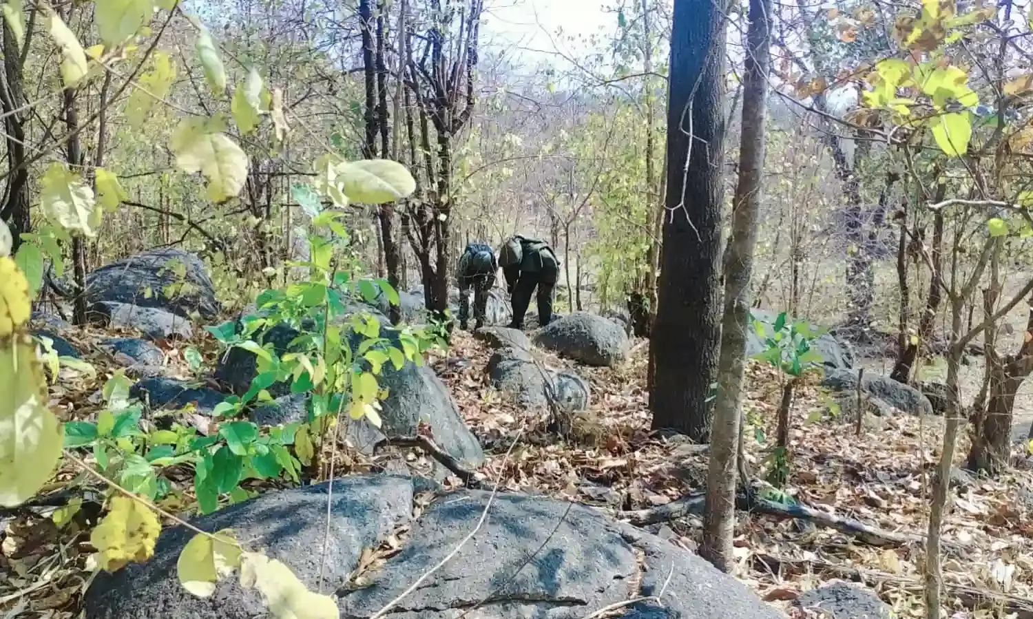 झारखंड के पश्चिम सिंहभूम में सुरक्षा बलों और नक्सलियों में मुठभेड़