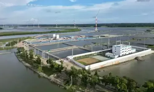 बांग्लादेश की पहली केंद्रीकृत पवन ऊर्जा परियोजना बिजली पैदा करने के लिए ग्रिड से जुड़ी