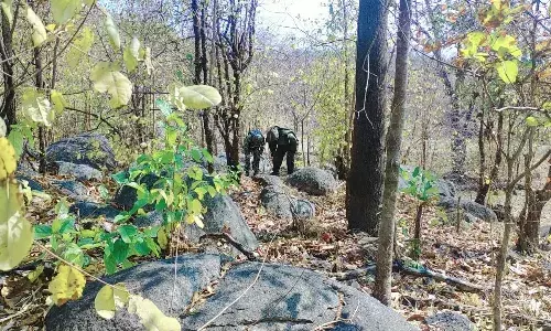 झारखंड के पश्चिम सिंहभूम में सुरक्षा बलों और नक्सलियों में मुठभेड़ झारखंड के पश्चिम सिंहभूम में सुरक्षा बलों और नक्सलियों में मुठभेड़