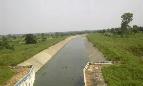 अंतत: गोसीखुर्द प्रशासन ने सायगांव नहर में छोड़ा पानी