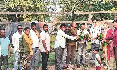 लंबे इंतजार के बाद पर्यटकों के लिए खुले कोका अभयारण्य के द्वार