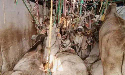 पुलिस ने किया पीछा तो गौवंश से भरे कंटेनर को छोडकर भागे तस्कर