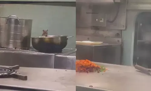 मुंबई-मडगांव एक्सप्रेस की पैंट्री कार में चूहों ने यात्रियों के लिए बने खाने चखे मुंबई-मडगांव एक्सप्रेस की पैंट्री कार में चूहों ने यात्रियों के लिए बने खाने चखे