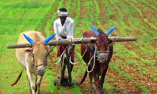 अमरावती के 26 हजार किसानों को नोटिस