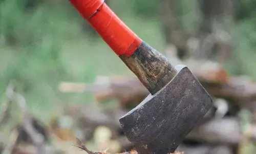 बिहार में छोटे भाई ने कुल्हाड़ी से काटकर की बड़े भाई, भाभी की हत्या, जमीनी विवाद में हत्या की आशंका बिहार में छोटे भाई ने कुल्हाड़ी से काटकर की बड़े भाई, भाभी की हत्या, जमीनी विवाद में हत्या की आशंका