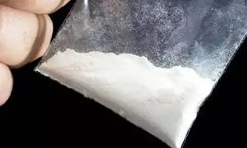 अमरावती में फैल रहा नशे का काराेबार अमरावती में फैल रहा नशे का काराेबार