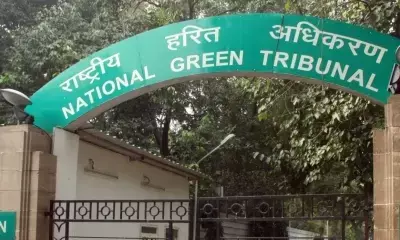 दिल्ली की हवा : एनजीटी ने नोटिस जारी किया, कार्रवाई की रिपोर्ट मांगी