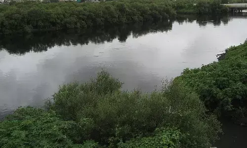 कोलार नदी प्रदूषण मुक्ति का सपना धूमिल