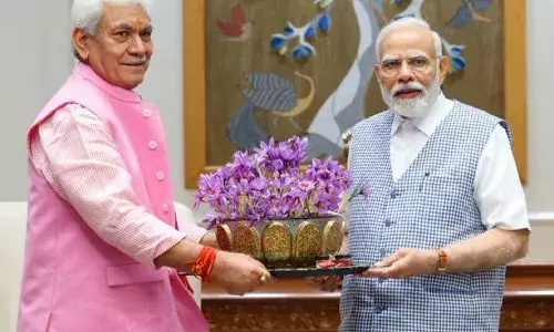 जम्मू-कश्मीर के एलजी मनोज सिन्हा ने पीएम मोदी से मुलाकात की