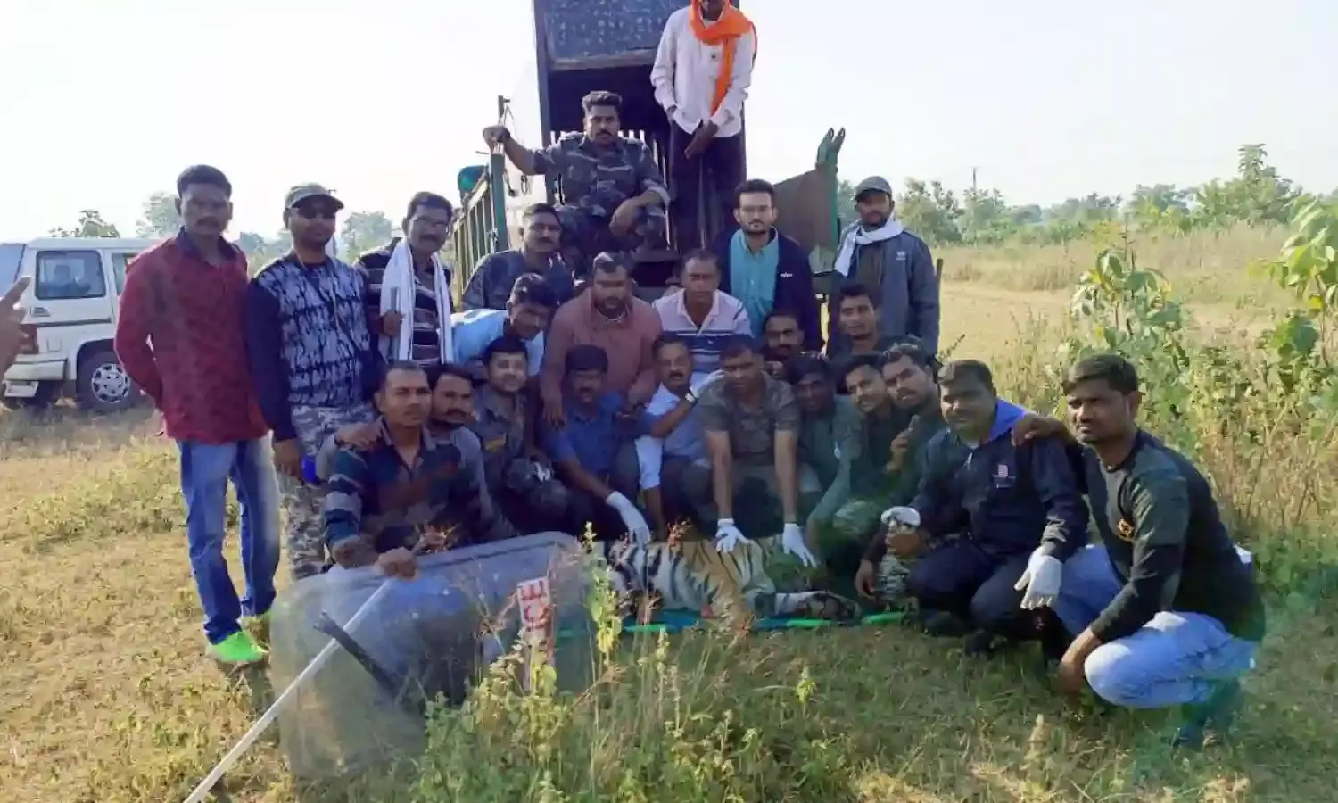 अंतत: नरभक्षी बाघिन टी-13 पिंजरे में कैद