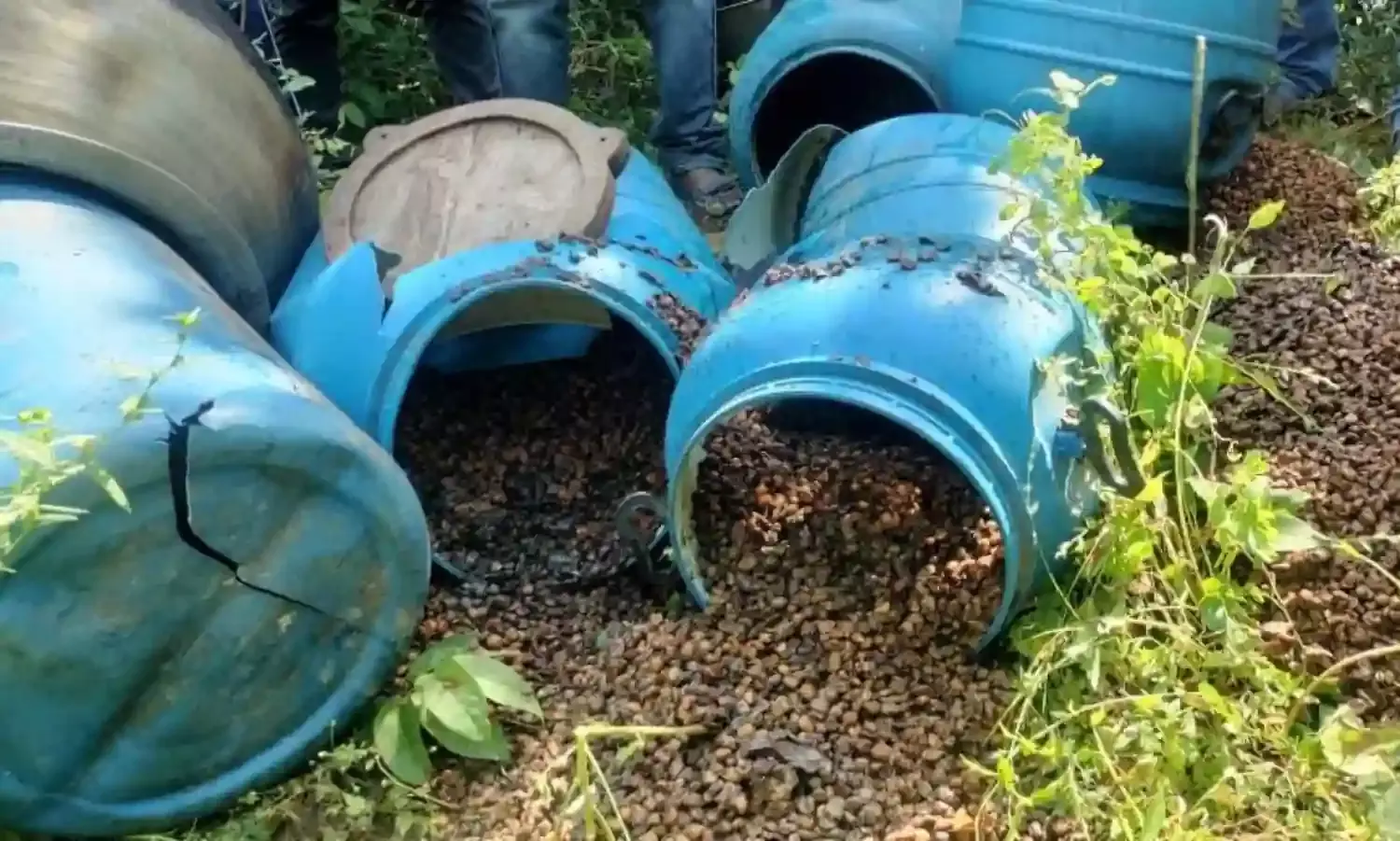 लाखों रुपए के महुए का सड़वा और शराब जब्त