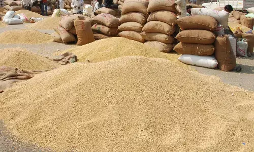 सात दिनों में खरीदा डेढ़ लाख क्विंटल सोयाबीन सात दिनों में खरीदा डेढ़ लाख क्विंटल सोयाबीन