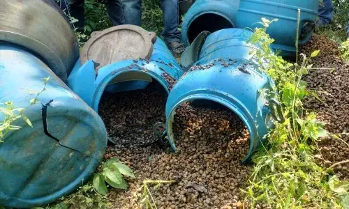 लाखों रुपए के महुए का सड़वा और शराब जब्त